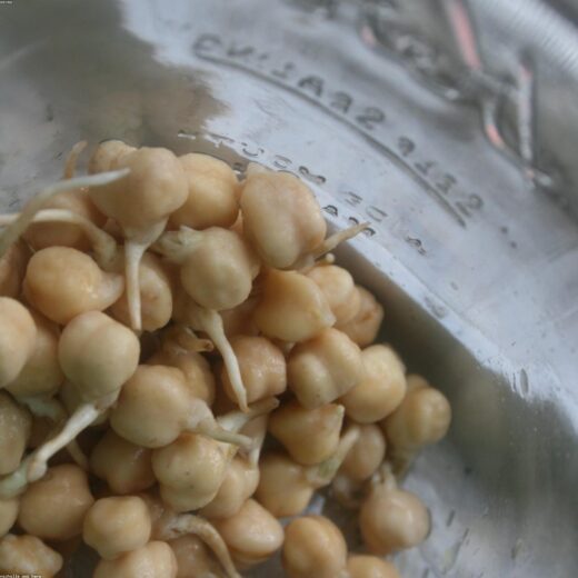 Lenteja pardina 1 kg